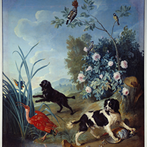 Zerbine and Jemite, the Dogs of King Louis XIV Painting by Francois Desportes (1661-1743