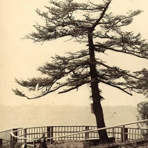 Aussichtspunkt Larche 1903 Landkreis MeiBen