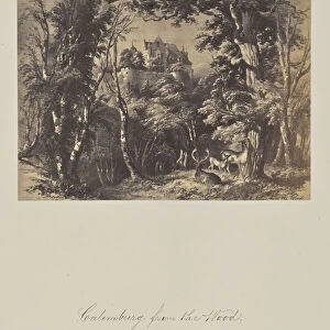 Calemburg Wood 1865 Albumen silver print