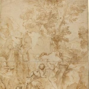 Gregorio de Ferrari (Italian, 1644 - 1726), Echo and Narcissus, pen and brown ink