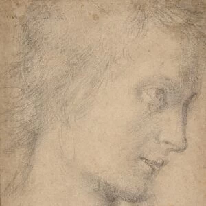 Head Youth Profile recto Study Seated Figure