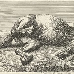 Two killed horses, Jan van Huchtenburg, Adam Frans van der Meulen, unknown, 1674 - 1733