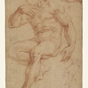 Studies Male Nude Drapery Hand Giorgio Vasari