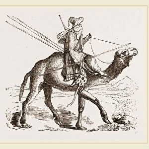 Swift Camel mounted