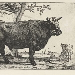 Taurus, Paulus Potter, 1650