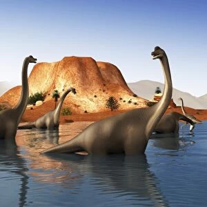 Brachiosaurus dinosaurs grazing in a prehistoric lake