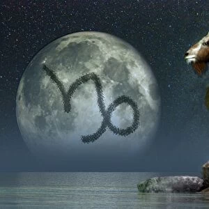 Capricorn is the tenth astrological sign of the Zodiac