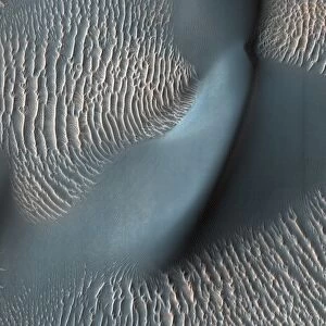 Two classes of aeolian bedforms within Proctor Crater on Mars