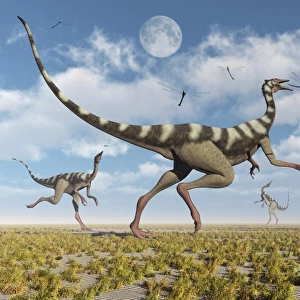 A group of Pelecanimimus dinosaurs chasing dragonflies