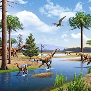 Two Herrerasaurus dinosaurs chasing a Silesaurus down a stream