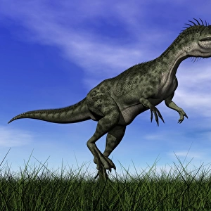 Monolophosaurus dinosaur walking in the grass