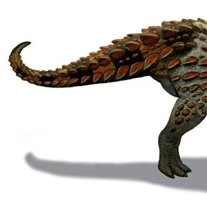 Scelidosaurus dinosaur of the Early Jurassic Period