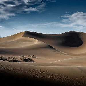 Dunes, Death Valley, CA
