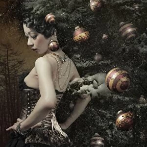 Lady of December's tree
