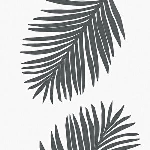 Palm Leaf Gray 01