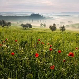 Tuscan spring