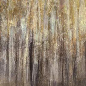 Impressionist forest art