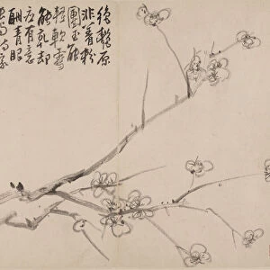 Album of Blossoming Plum, 1742. Creator: Li Fangying
