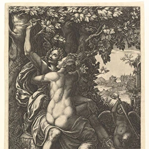 Angelica and Medoro; the couple embracing, Medoro carving their names in the bark of a