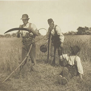 In the Barley-Harvest (Suffolk), 1883 / 87, printed 1888. Creator: Peter Henry Emerson