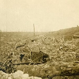 Battlefield, Bezonvaux, Verdun, northern France, c1914-c1918
