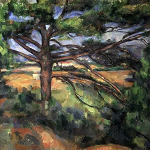 A Big Pine Tree near Aix, 1895-1897. Artist: Paul Cezanne