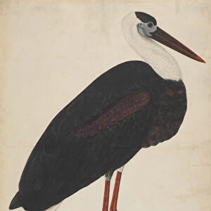 Black Stork in a Landscape, ca. 1780. Creator: Unknown