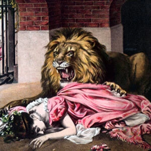Caged Lion with sleeping woman. c19th century