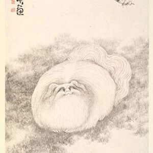 Cat and Butterfly, 1788. Creator: Min Zhen (Chinese, 1730-after 1788)
