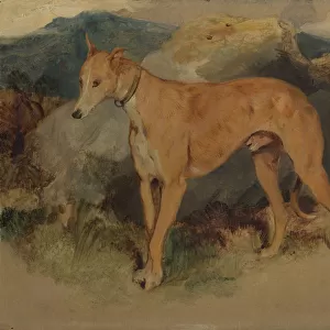 A Deerhound, 1826. Creator: Edwin Henry Landseer