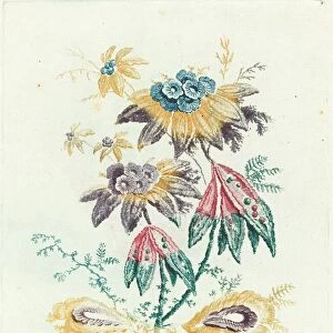 Fantastic Flowers with Peapod Leaves, 1795. Creator: Anne Allen