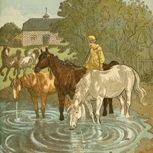 The Farmers Boy watering horses, c1881. Creator: Randolph Caldecott