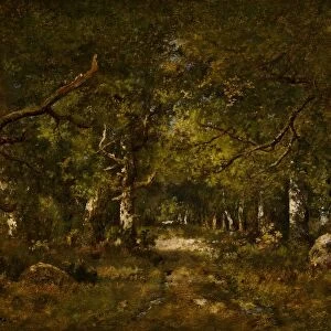 Forest Scene, 1874. Creator: Narcisse Virgile Diaz de la Pena