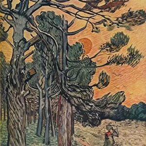 Foret De Sapins Au Declin Du Jour, 1889. Artist: Vincent van Gogh