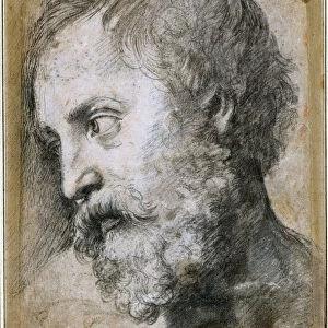 Head of An Apostle (Study for Transfiguration), 1519-1520. Artist: Raphael (1483-1520)