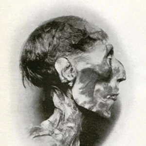 Head of the mummy of Rameses II, Ancient Egyptian pharaoh of the 19th dynasty, c1212 BC (1926). Artist: Winifred Mabel Brunton