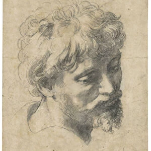 Head of a Young Apostle