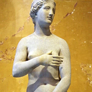 The Heritage Venus, Italian, 19th century