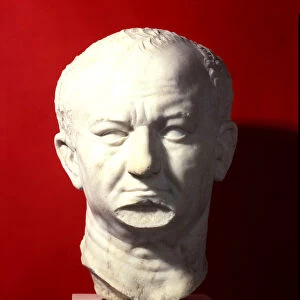 Marble Head of Titus Flauius Vespasianus (9-79), 75 aC, Roman Emperor