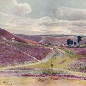 Moorland at Frensham, 1912, (1914). Artist: Jamess Ogilvy