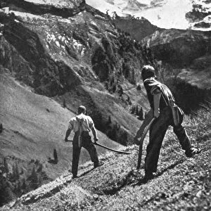 Peasant farmers haymaking at the glacier foot, Switzerland. 1936. Artist: F Hutzli