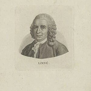 Portrait of Carl Linnaeus (1707-1778), c. 1780. Creator: Anonymous
