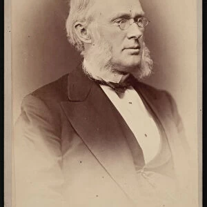 Portrait of George Frisbie Hoar (1826-1904), Between 1876 and 1880