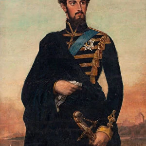 Portrait of the King Charles XV of Sweden