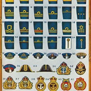 Rank distinctions in the Royal Navy, c1919 (1919)