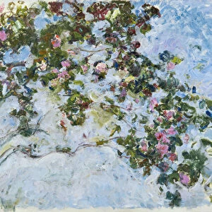 Roses, 1925-1926