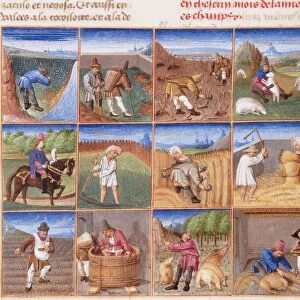 Ruralia commoda. Agricultural calendar from a manuscript of Pietro de Crescenzi, ca 1470-1475