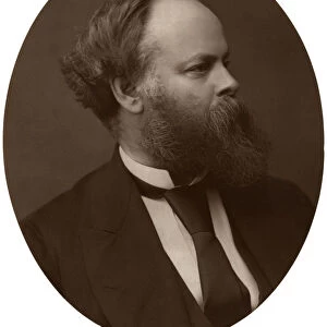 Samuel Plimsoll, Esq, MP, British Liberal politician and social reformer, 1876. Artist: Lock & Whitfield