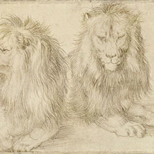 Two seated lions, 1521. Artist: Durer, Albrecht (1471-1528)