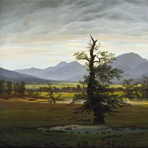 Solitary Tree (Village Landscape in Morning Light), 1822. Artist: Friedrich, Caspar David (1774-1840)